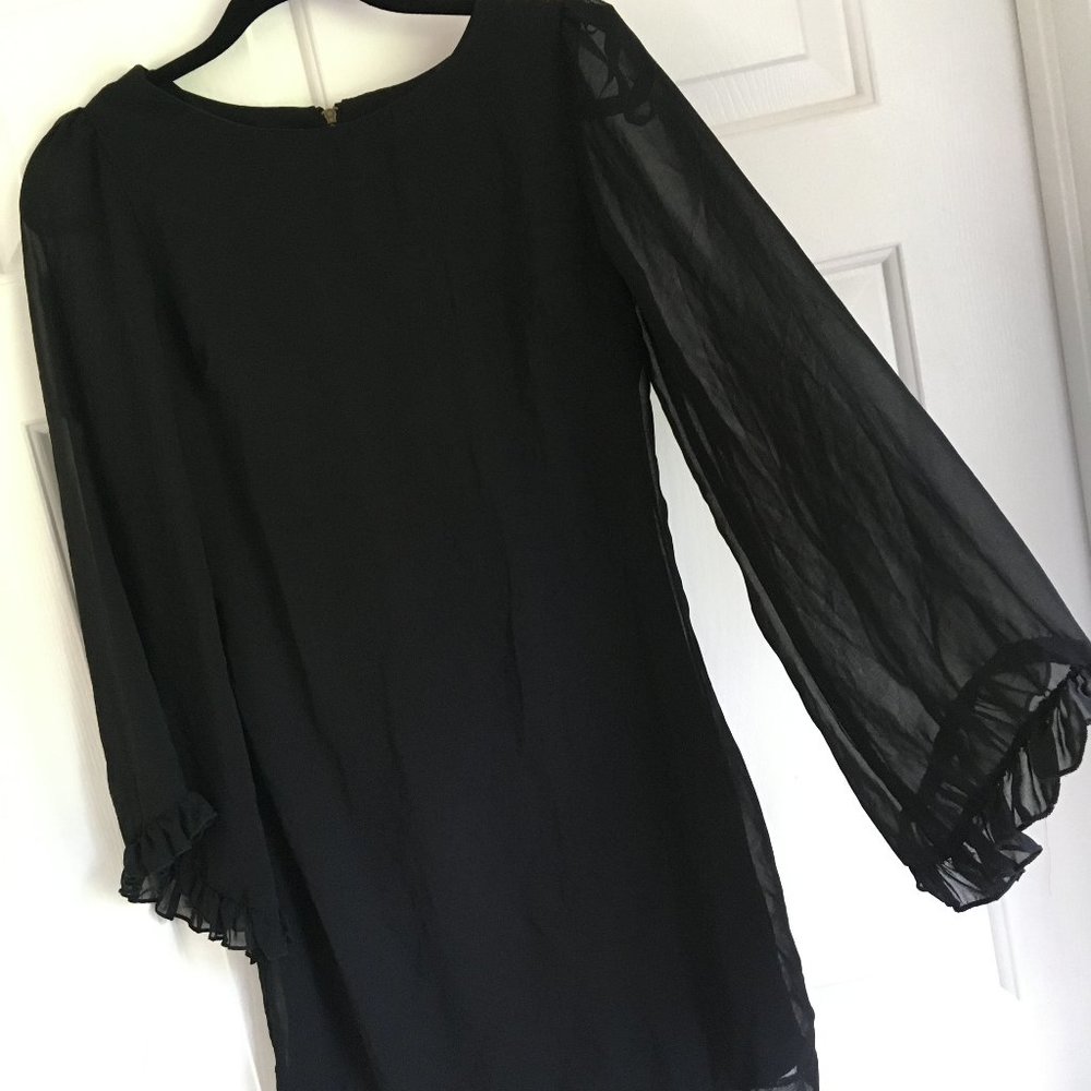 Black Mini Dress with Sheer Bell Ruffle Sleeves